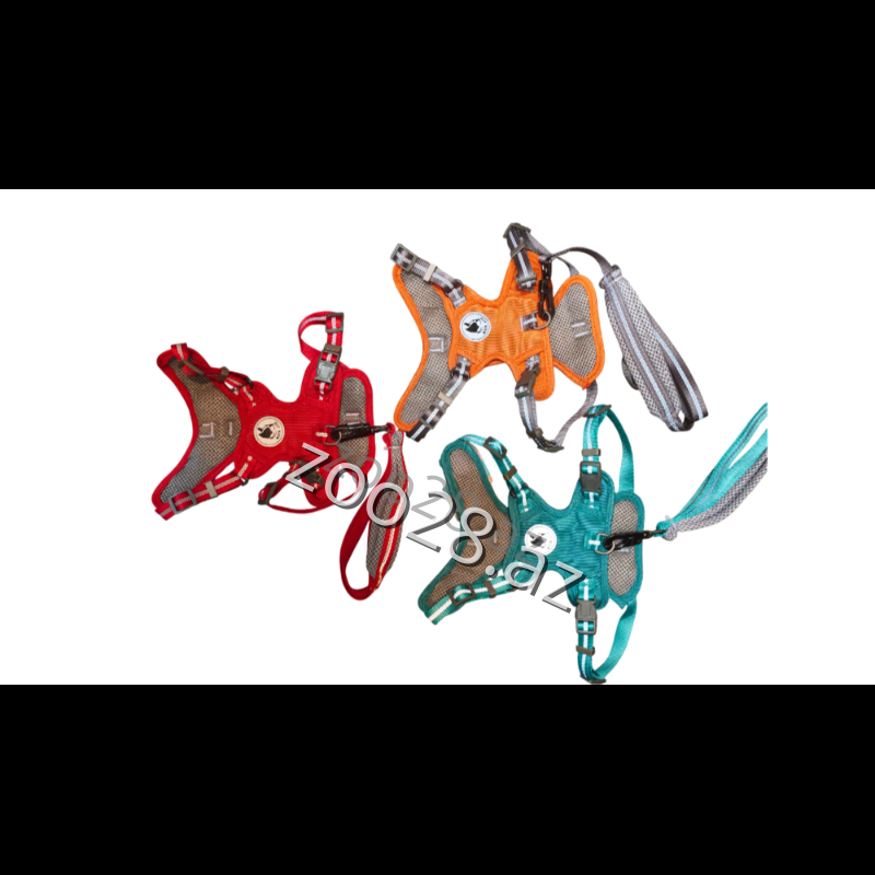 Sinəlik+Qayış 2503-308 - İtlər - Şəkil 2